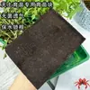 Bloques para Plántulas Hidropónicas al por Mayor, Bloques de Sustrato para Cultivo sin Suelo, Estériles, Transpirables, Retentores de Agua, Promotores de Raíz, Semillas de Verduras para Germinar
