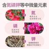 Adubo para Bougainvillea Flor de Ameixa Folha Amarela Planta em Vaso Bonsai Granulado de Liberação Lenta Adubo Universal para Jardinagem Adubo Especial para Bougainvillea