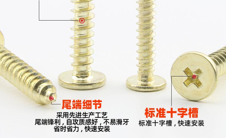 金色304不锈钢CA十字薄头自攻螺丝_03_11.jpg