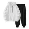 Conjunto de sudadera con capucha y pantalón de chándal de color liso, estilo nuevo, transfronterizo, disponible en tallas grandes, conjunto de dos piezas moderno, admite impresión personalizada