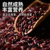 Arroz Glutinoso Rojo Orgánico Dianheyuan 1 kg Caja de Arroz con Queso de Taro Vino de Arroz Pastel de Arroz Pastel de Arroz Morado Arroz Glutinoso Morado Arroz Japonica