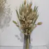 Flores de Caña Secas Ins Estilo Nórdico Flores Eternas Hierba de la Pampa Amazon Venta Caliente al por Mayor Ramo de Flores Estilo Ins Plantas