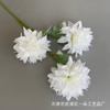 Material floral de simulación de boda de la serie blanca, planta de simulación Mori blanca y verde coreana, decoración para banquetes de bodas en hoteles y caminos.