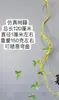 Vid vid de árbol muerto espumada decoración de boda tubería aire acondicionado paisajismo ramas ramas de sauce vid tiras de vid