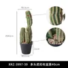 Venda Direta de Fábrica de Decorações Paisagísticas de Cactos Simulados de Chão para Uso Interno e Externo, Plantas Verdes Paisagismo Tropical Desértico Plantas em Vasos