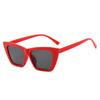 Gafas de sol de color gelatina poligonal nuevas de Europa y América 2024 para hombre tendencia de comercio exterior transfronterizo gafas para selfie gafas de sol para mujer