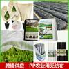 Cubierta Anticongelante y Resistente al Frío de Tela No Tejida de PP para Plantas, Verduras, Jardinería, Agricultura, Cubierta de Aislamiento, Tela Anti-Maleza, Film Mulch, Aislamiento Térmico, Sin Pegamento