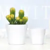 Precio de Fábrica al por Mayor Maceta de Melamina de Color Sólido con Diseño de Rayas Horizontales para Plantas de Jardinería de Escritorio