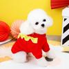 Roupas para animais de estimação outono e inverno novo pelúcia bixiong ano novo festivo estilo chinês quente cão gato 24 ano novo moletom