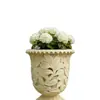 Área de Preservação Histórica Paisagem Personalizado Vintage Desgastado Arte Escultura de Arenito Vaso de Flores Estilo Barroco Vaso de Flores de Arenito