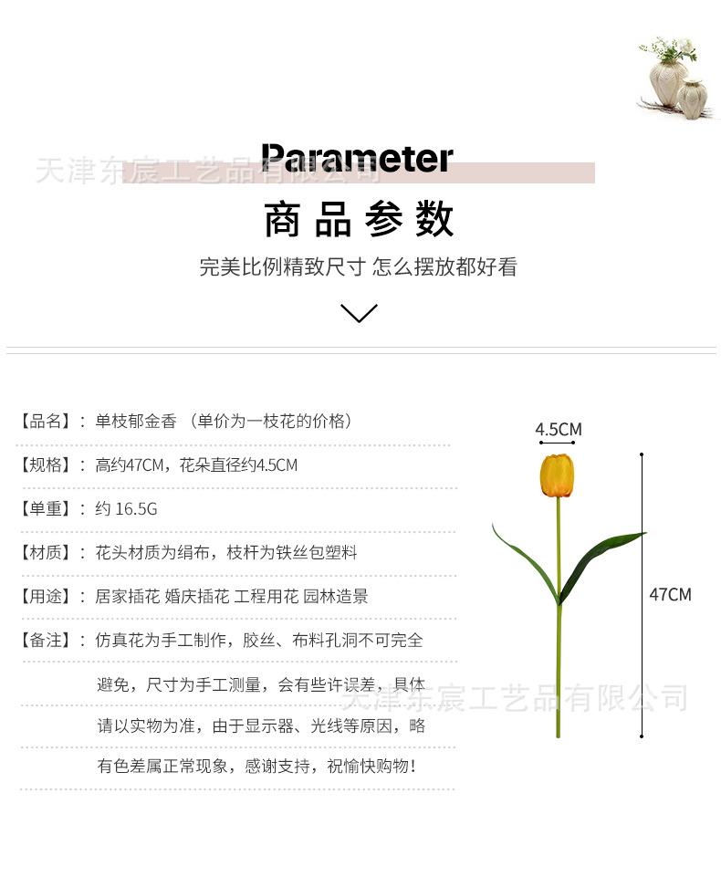 详情_02.jpg