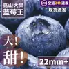 Arándanos de Yunnan Fruta Fresca De Temporada Alta Montaña L25 Aroma Floral Caja Entera Envío Gratis Sf Express