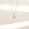 Colar Versátil de Aço Titânio com Concha Branca e Rabanete Estilo Doce Europeu e Americano para Mulheres Design de Nicho Corrente de Clavícula Corrente Simples para o Pescoço