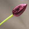 Tulipa artificial de alta qualidade, arranjo de flores para decoração de mesa de jantar e sala de estar, buquê de noiva