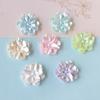 Venta Caliente Accesorios Sencillos de Resina con Flores Accesorios para el Cabello Zapatos con Agujeros Material para Manualidades al por Mayor Pj1824