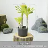 Árvore Africana Artificial Overlord em Vaso Plantas Tropicais Desérticas Verdes Plantas Falsas Ornamentos Decorativos Macios para Vitrine