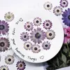 Flores Secas Sudafricanas de Colores, Flores Prensadas, Materiales para Manualidades, Espécimenes de Flores Naturales Reales, Marcadores de Libro de Resina, Materiales Hechos a Mano