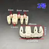 Arnés de Cables de Tubería de Aceite para Chasis de Carrocería de Automóvil Tubería de Agua Tubería de Hierro Espaciador Clip de Plástico Fijo Abrazadera de Sujeción Hebilla de Goma