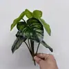 Hojas de Taro Laminadas con Patrón de Sandía para Aguas Profundas y Someras, Hojas Artificiales Realistas, Accesorios para Paisajismo Tropical y Arreglos Florales, Venta al por Mayor desde el Fabricante