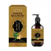 Aceite Esencial de Masaje y Cuidado de la Salud de Jengibre y Ajenjo Huixitang de Kioto para Alivio y Masaje de Espalda con Gua Sha, Suministrado Especialmente desde la Fuente para Salones de Belleza