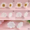 Estilo Nuevo Estilo Hyun Ya Pendientes de Girasol Tejidos de Lana Tendencia para Niñas Fresco Felpa Felpa Bola Flor Joyería para Orejas