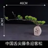 Decoración de Plato para Platos Fríos de Sashimi de Hotel con Arreglos Florales y Vegetales Creativos, Adornos de Pino Pequeños para Realzar la Presentación de Platos Emblemáticos