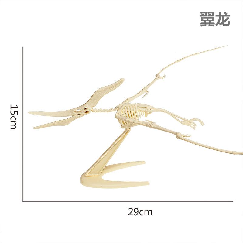 翼龙.jpg