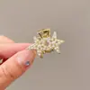 Pinza para Flequillo Lateral con Acabado de Alta Gama, Exquisita Pinza Pequeña de Tiburón de Medio Agarre, Pasador de Princesa, Accesorio para el Cabello Versátil y Elegante