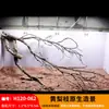 Árbol para paisajismo de acuario sudamericano, ramas secas, ramas de peral amarillo, decoración de sustrato, pecera pequeña, ramas naturales, decoración de paisajismo y paisajismo.