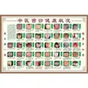 Diagrama de Gua Sha de Espalda Centro de Salud Belleza Cuerpo Humano Punto de Acupuntura Mural Medicina Tradicional China Cartel Promocional Pegatina de Diagnóstico de Columna Vertebral