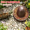 Comedero de Plástico para Tortugas, Canaleta de Comida para Lagartos Geckos Reptiles, Fácil de Limpiar, Alimentador Antiderrames, Caja de Comida, Comedero para Hámster