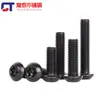 Acero Inoxidable 304 Negro Flor de Ciruelo Interior Antirrobo Tornillo Iso7380 Cabeza Redonda Tornillo de Cabeza Plana M4M5M6