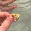 Nuevo Anillo Abierto Cepillado Diamante Estilo Chinoiserie Antiguo Industria Pesada Estilo Old Money Anillo para Dedo Índice Elegante de Alta Gama Accesorios de Joyería de Mano