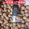 Jade Blanco Raíz de Bodhi Semilla Original Semilla Grande de Bodhi Fruto de Ginkgo Talla Diámetro 11-30 mm Raíz de Bodhi Fruta Grande Materia Prima