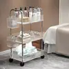 Carrinho Pequeno para Carro, Salão de Beleza no Quintal, Barbearia, Gabinete de Tatuagem, Armazenamento para Permanente de Cílios, Tintura, Manicure, Estante de Armazenamento