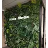 Pared Vegetal de Simulación Pared de Plantas Verdes Pared de Flores Pared de Fondo de Plantas Verdes Decoración de Cabecera de Puerta Flores Artificiales Césped de Plástico Decoración de Pared Paquete