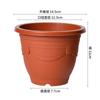 Rabanete Verde Planta Aranha Vaso de Flor de Plástico Planta Verde Suculenta Antúrio Envasado Jardinagem Doméstica Decoração de Escritório Interior