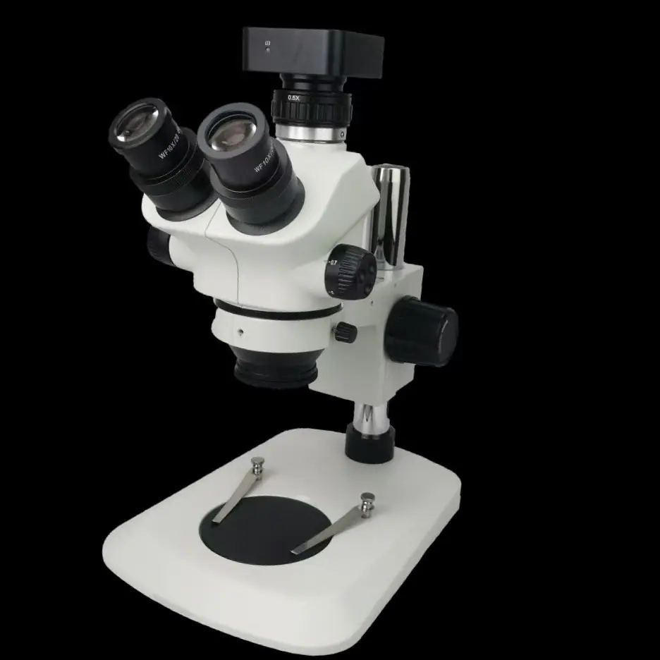 2025-09-24 11:20:36.jpg