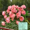 Peônia Artificial Exquisita de 7 Cabeças Salão de Casamento Decoração Suave Flor de Seda Fundo Decoração Peônia Recheada Flor Falsa