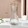Jarrón de cristal en forma de cono, estilo ins nórdico, jarrón transparente grande y simple para bambú hidropónico, decoración de arreglo floral de escritorio y sala de estar