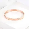 Pulsera de Acero Inoxidable para Mujer de Joyería Transfronteriza, No se Desvanece, Moderna, Lujo Ligero, de Nicho, Circonita Estrellada, Pulsera de Acero de Titanio para Mujer