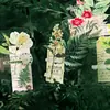 Pacote de Adesivos Pet Poesia de Açúcar Série História Colagem de Folhas Materiais de Decoração para Diário Colagem Vintage 30 Folhas em 6 Designs
