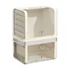 Caja de Almacenamiento de Cosméticos de Escritorio, Estante de Almacenamiento de Productos para el Cuidado de la Piel Estilo Crema para Tocador, Caja de Almacenamiento de Lápices Labiales a Prueba de Polvo Tipo Cajón