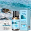 Óleo Essencial de Aromaterapia Solúvel em Óleo 10ml Fragrância de Longa Duração Máquina de Aromaterapia Difusor de Óleo Essencial Difusor de Pedra Madeira Vela de Óleo Essencial DIY