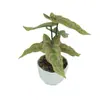 Nuevas Plantas Verdes Paisajismo DIY Pequeños Accesorios Auxiliares Arreglo Floral Césped Artificial Plantas Pequeñas Decoración de Interiores Combinación de Adornos Plantas en Maceta