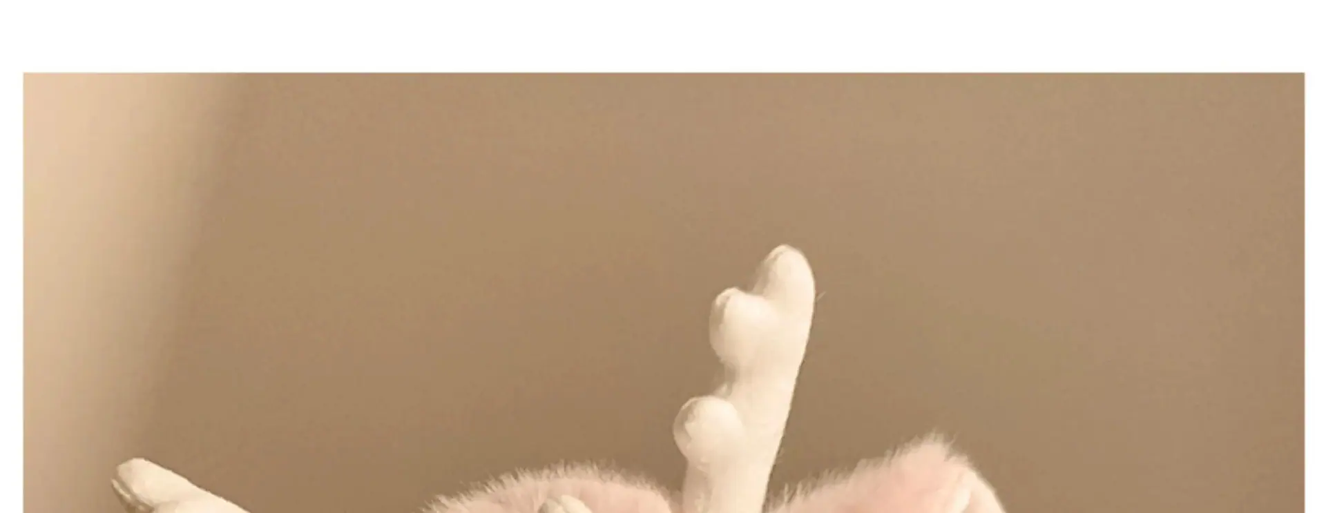微信图片_202402252028011.jpg