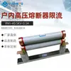 Rn1-40.5Kv/0.5A1A2Arw10-40.5Kvrxwo-40.5Kv Fusible de Alto Voltaje para Interiores Limitador de Corriente