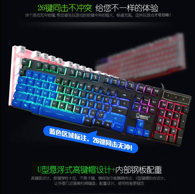 K9详情页_11.jpg