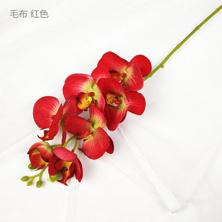 QQ图片20190320190924_副本_副本