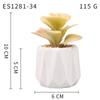 Planta Suculenta Simulada Macetas, Decoración de Muebles de Oficina Nórdicos, Nuevas Suculentas Bonsái Simuladas de Alta Calidad para el Hogar